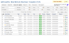 wbTeamPro Project Action List